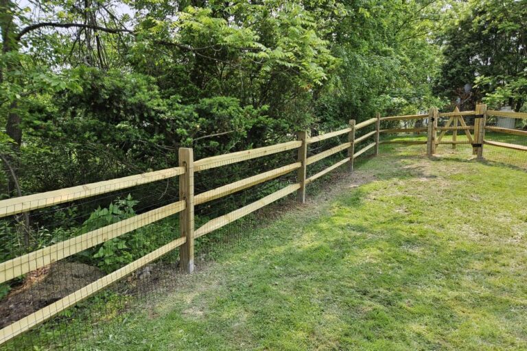 20250603_144422COPY